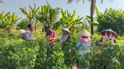 Bhabinkamtibmas Desa Pringgabaya AIPDA Marten Zakarias Leuwol Sambangi Petani, Perkuat Silaturahmi dan Sampaikan Himbauan Kamtibmas
