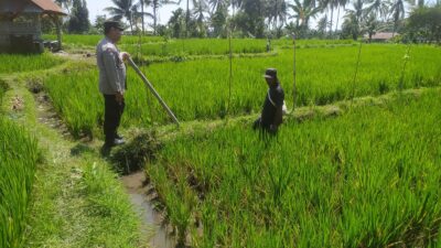 Bhabinkamtibmas Lenek Pesiraman Sambangi Warga, Monitoring Ketahanan Pangan dan Imbau Jaga Kamtibmas