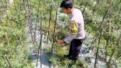 Bhabinkamtibmas Desa Kumbang Sambangi Warga dan Monitor Ketahanan Pangan, Ajak Masyarakat Jaga Kamtibmas