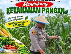 Dukung Ketahanan Pangan, Polsek Bangilan Monitoring Tanaman Jagung