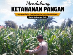 Dukung Ketahanan Pangan, Polsek Tuban Turun Langsung Pantau Tanaman Jagung