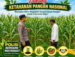 Dukung Asta Cita, Polsek Jatirogo Turun Langsung Pantau Ladang Jagung Warga Desa Jatiklabang