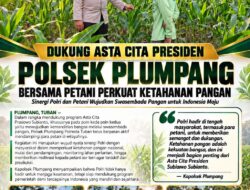 Polsek Plumpang Polresta Tuban Turun Langsung Cek Tanaman Jagung Warga