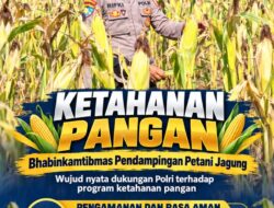 Polsek Soko Polresta Tuban Turun Langsung Cek Tanaman Jagung Warga