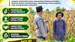 Polri Dukung Astacita, Polsek Rengel Polresta Tuban Turun Cek Tanaman Jagung Warga di Desa Sawahan
