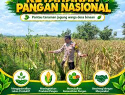 Polsek Plumpang Polresta Tuban Turun Langsung Cek Tanaman Jagung Warga