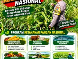 DUKUNG KETAHANAN PANGAN! Polsek Jatirogo Cek Lahan Jagung Warga Desa Demit