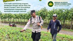 Polri Dukung Astacita, Polsek Merakurak Polresta Tuban Turun Cek Tanaman Jagung Warga di Desa Tuwiri Wetan