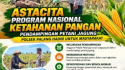 Dukung Astacita, Polsek Palang Polresta Tuban Pantau Langsung Lahan Jagung milik warga Desa Dawung