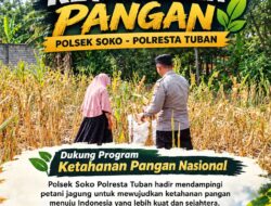 Polsek Soko Polresta Tuban Turun Langsung Cek Tanaman Jagung Warga