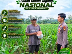 Anggota Polsek Singgahan Polresta Tuban Turun Cek Tanaman jagung Warga di Desa Mulyoagung